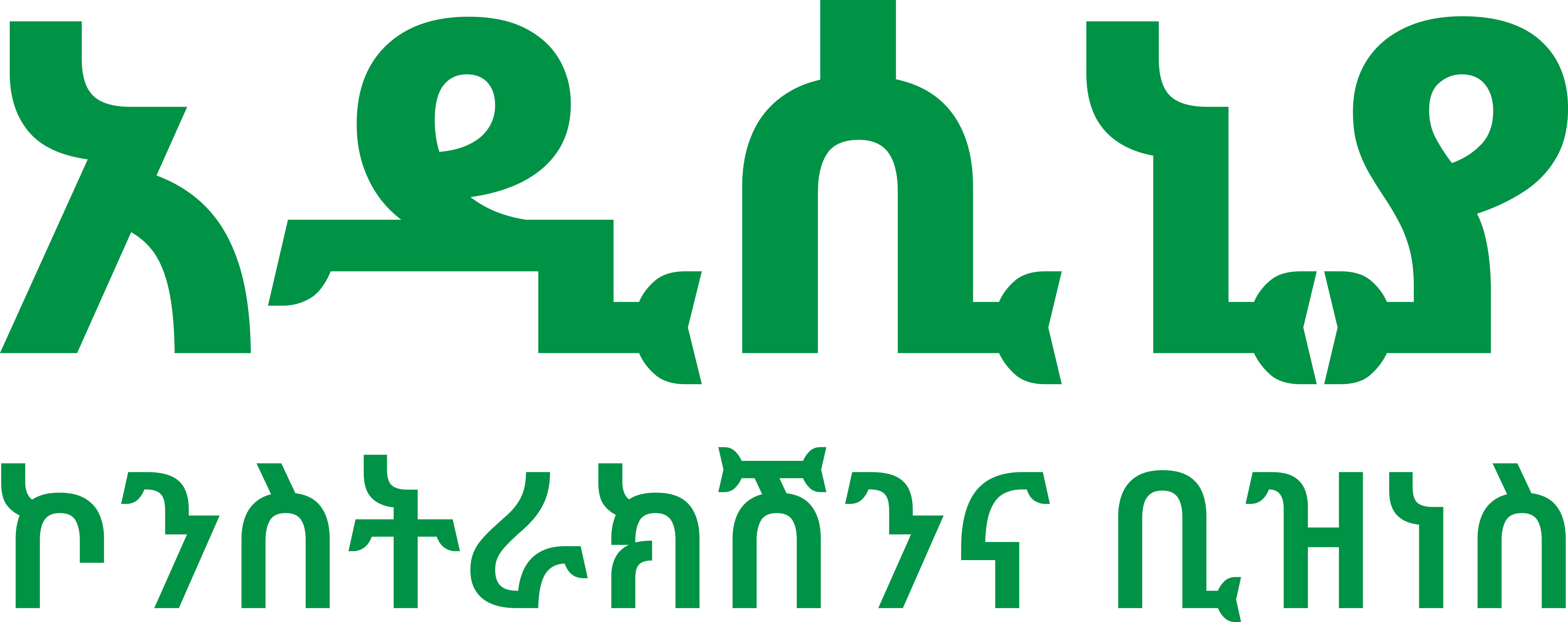 Adisinia Construction & Business